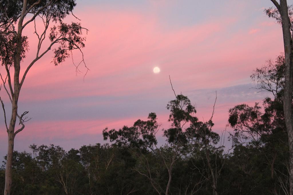 Linga Longa Spiritual Retreat * Curra